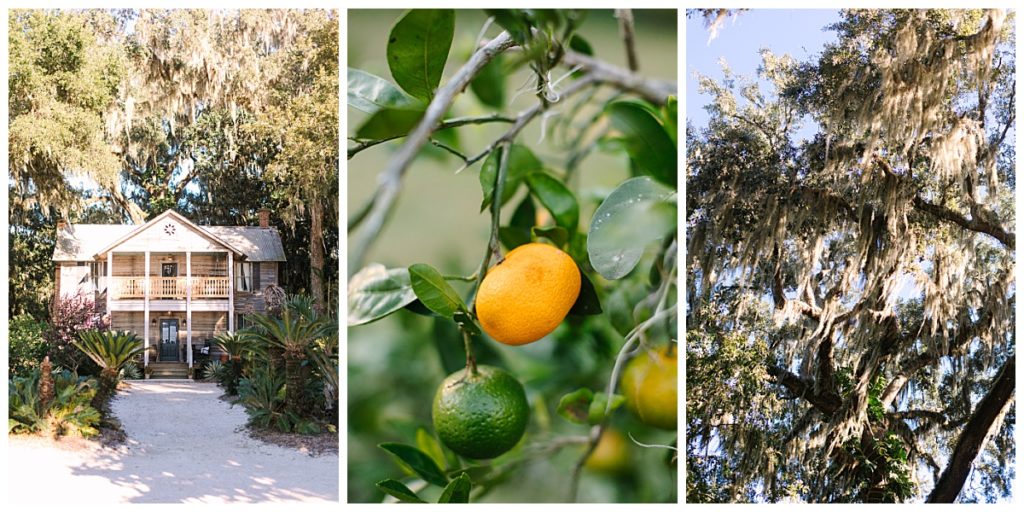 The 1800s farmhouse original to the La Venture Grove wedding venue is pictured alongside the citrus fruit that grows at the property.